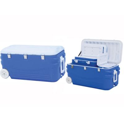 China Family Blow Molded Food Cooler Box for sale