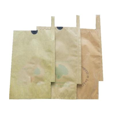 China Factory price BIODEGRADABLE waterproof wax coated fruit protection mango paper bags for sale