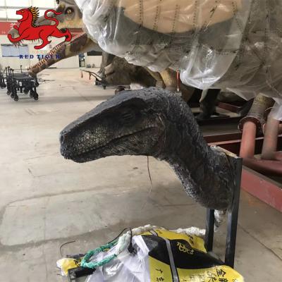 China Customized Handmade Animatronic Statue Raptor Dinosaur Head Animatronic for sale