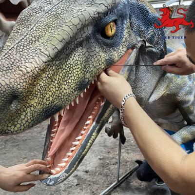 China New 3D 3.5M Life Size Animatronic Lightweight Material Animotronic Dinosaur Suit Easy To Walk for sale