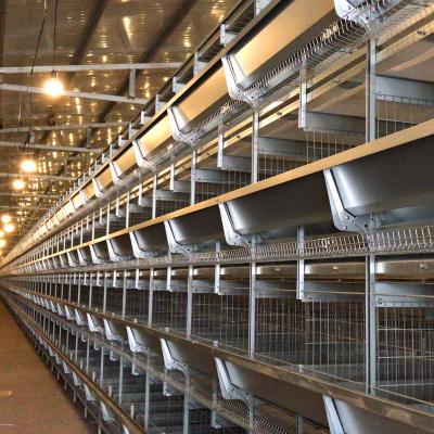 China Farms Layer Chicken Cage Equipment With Automatic Feed And Egg Collection Machines for sale