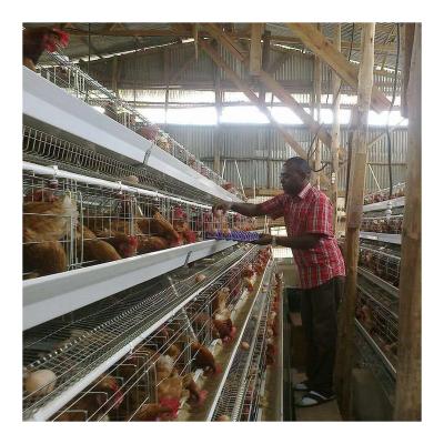 China Farms New Design Layer Poultry Battery Layers Chicken Egg Cage With Great Price for sale