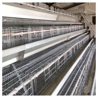 China Durable Automatic Type A Chicken Cage For Layers Manufacture Customized Commercial Layer Cage Poultry Cage for sale