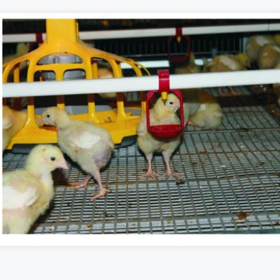 China Complete Auto Place For A Variety Of Auto Broiler Cage Laminate for sale