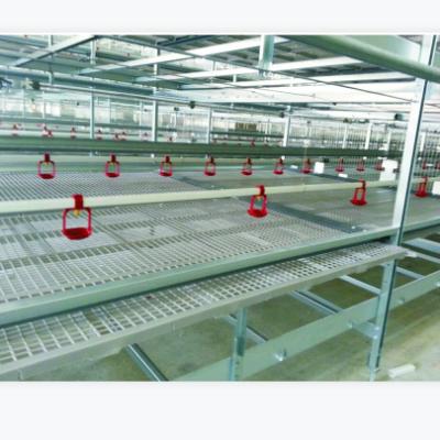 China Full Automatic The Latest Design Advanced Poultry Farm Fully Automatic Stacked Broiler Cage In 2021 for sale