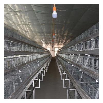 China Low cost specializing in producing high quality animal husbandry beautiful silver broiler cages for sale