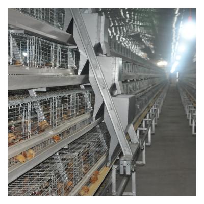 China Low cost manufacturers sell 3-4 tier multi-storey chicken cage in the form of an agricultural electric for sale