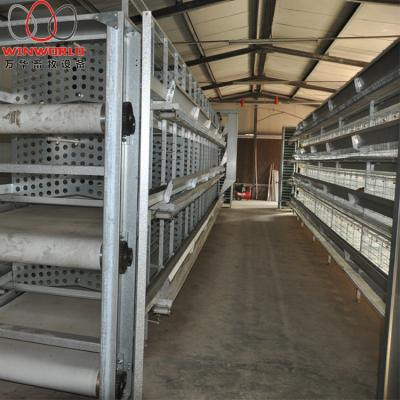 China Poultry Field Low Price Poultry Farm Equipment Quail Breeders Cage Automatic System Cage for sale