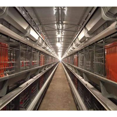 China Automatic Full Automatic Breeder Cage Poultry Farm Equipment Automatic Chicken Cage System Africa for sale