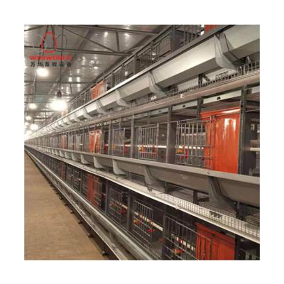 China First hand commercial chicken feeding at most popular H type 5/6 row modern cages for breeder poultry farm for sale