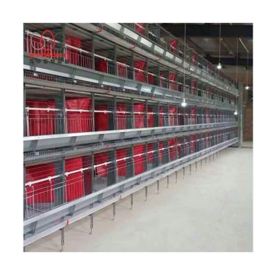 China Chicking Farm Chicken Cage Heat Sealed Modern Cages Sheet Breeder Hens Cages Hot Galvanized Chicken Cage for sale