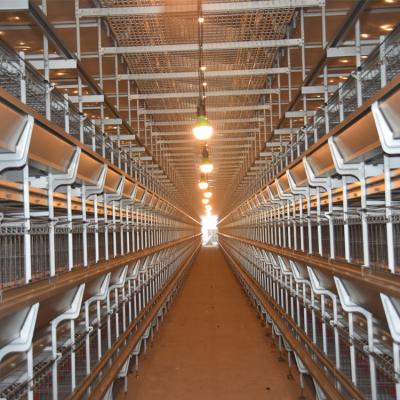 China Full Automatic Chicking Farm Chicken Cage Poultry Farm House Cheap Chicken Cage for sale