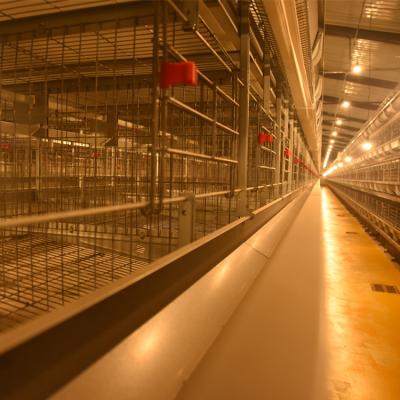 China Chicking Farm Chicken Cage Labor Saving Kenya Poultry Farm Chicken Battery Layer Cages For Layers for sale