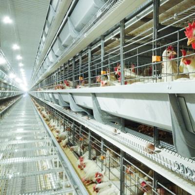 China POUL TECH Good Prices Automatic Layer Battery Chicking Farm Chicken Cage Automatic Egg Laying Hens H Type Cage for sale