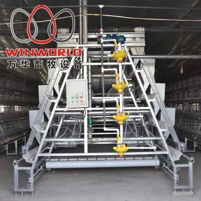 China Pullets Chicken Battery Poultry Field A Type Cage Newly Designed Chicken Breeding Equipment Algeria Farm Battery Cage for sale