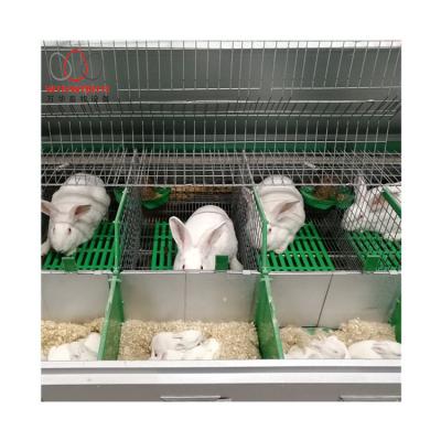 China Rabbit Raising Low Cost Premium System Automatic Feeding System Breeder Cage Rabbit Cage for sale