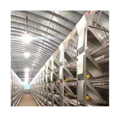 China Poultry Field Best Quality Most Popular Low Cost Full Automatic Hot Galvanized Quail Cage for sale