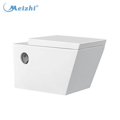 China Hidden Cistern Bathroom Wall Hung Toilet Bowl Brand for sale