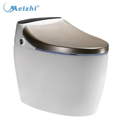 China Double-Flow Automatic Intelligent Toilet Toilet Seat Heated Bidet for sale