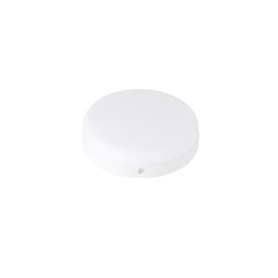 China Home Office Professional Manufacturer 24w 25w 170mm Outdoor LED Ceiling Panel Mounted Lights for sale