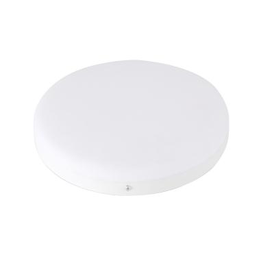 China Newest Home Office Mount Light High Power 50w 60w 300mm Series Led Ceiling Lamp Indoor Lamp Outdoor for sale