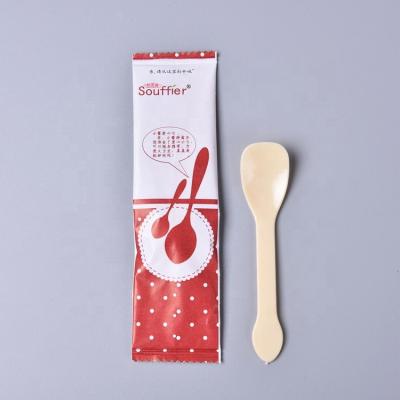 China Stocked Custom Ice Cream Serving Spoon Individually Wrapped Ice Cream Scoop for sale