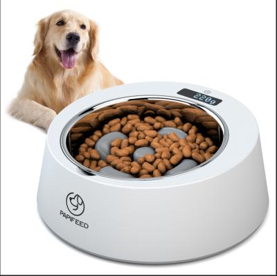 China Amazon Automatic Best Selling Smart Stainless Steel Weighting To Keep Slow Kit Driver Dog Bowl for sale