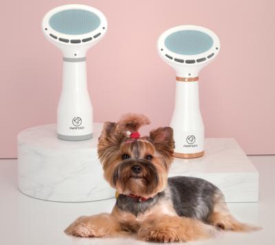 China Factory Viable Mini 2 in 1 Dog Cat Grooming Brush Pet Hair Dryer Dryer Comb for sale