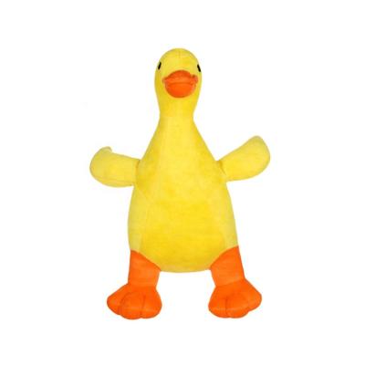 China 2022 Sustainable Sustainable Interactive China pp Cotton Duck Sleeping Plush Dog Toy Squeaky For Training for sale