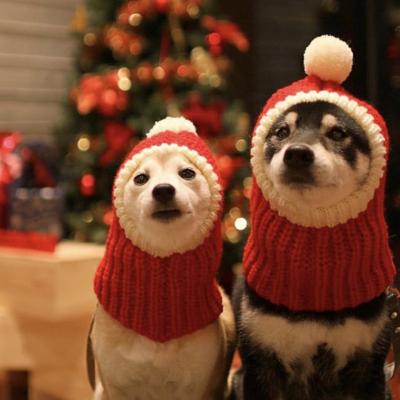 China 2022 Viable Cute Christmas Santa Claus Knitting Cat Dog Pet Apparel for sale