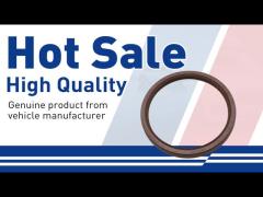 31251856 Engine Crankshaft Seal