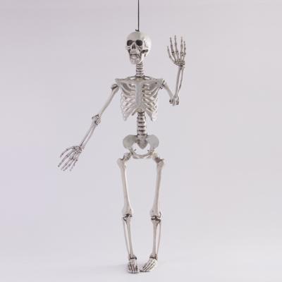 China Halloween Decoration Halloween Prop 165 cm Halloween Life Size Skeleton Scary Halloween Decoration for sale