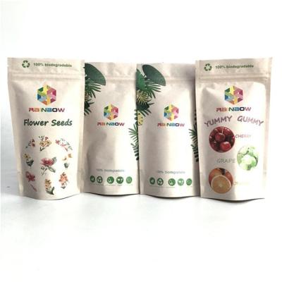 China Free Sample 2022 New Moisture Proof Biodegradable Food Bags Stand Up Zip Lock Kraft Paper Bag With Window For Snack Packing for sale