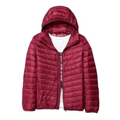 China High Quality Lightweight Winter QUICK DRY Duck Down Jacket Men's Jacket Wholesale Price for sale