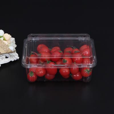 China Clear Food Blister Box Wholesale PET Clamshell Blister Box Packaging for sale