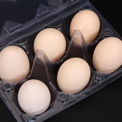 China Wholesale Disposable Food 6 Holes PET Blister Wrapper For Egg Paper for sale