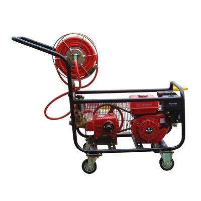 China High Efficient Agricultural Pesticide Spray Machine Farm Hand Push Gasoline Sprayer for sale