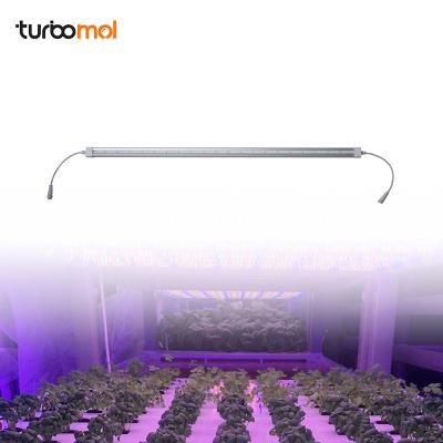 China Seed Starting Turbomol 30W Clone Led Grow Light for sale