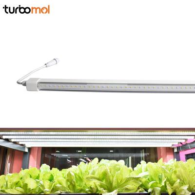 China Seed Starting Turbomol T5 T8 Grow Light Tube Horticulture Clone Led Bar Light Full Spectrum Led Grow Lights Tube Lamp for sale