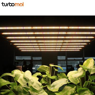 China Official Samsung FLOWER 10 Partner Turbomol Bar 1200w Indoor Hydroponic Cob Lm301h Led To Grow Lamp Full Spectrum for sale