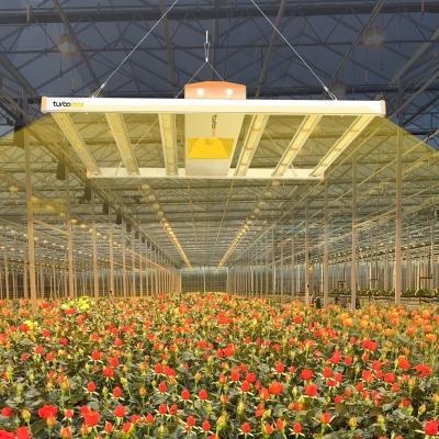 China FLOWER LED Grow Light HLED 1200W For Greenhouse TopLighting With Smart Controller Dimmable Grow Lights HPS for sale