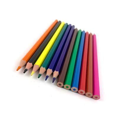 China Promotion\Business\School Wooden Colored Plastic Pencil\Office High Quality Art Drawing Free Plastic Hexagon Set 12Pcs for sale