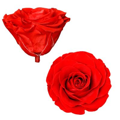 China Natural Fresh Rose With Stem 7-8cm Manual DIY Home Decoration Rose Flower Head 40 Color Artificial Flower High Grade Natural Wedding Party for sale