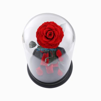 China Rose Preserved Eternal Roses Long Lasting Preserved Forever Gift Wholesale Real Flower In Stem Glass Dome for sale