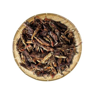 China Dried Grasshopper/bird food/animal feed for sale