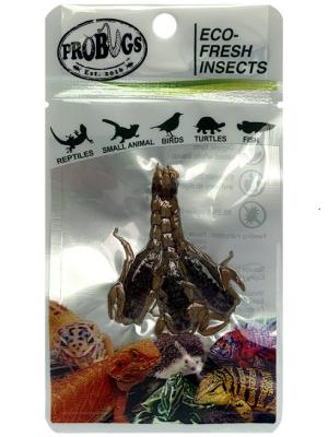 China Eco-fresh Scorpion/Feed grade/pet food for sale