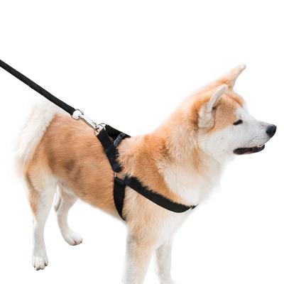 China New Sturdy Durable Nylon Adjustable Dog Outdoor Dog Anti-bite Durable Walking Leash Leash for sale