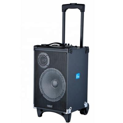 China 8 Inch Wooden Box PA Rechargeable Battery BT Trolley Wireless Professional Stereo Multimedia Portable Speaker With LED Light for sale