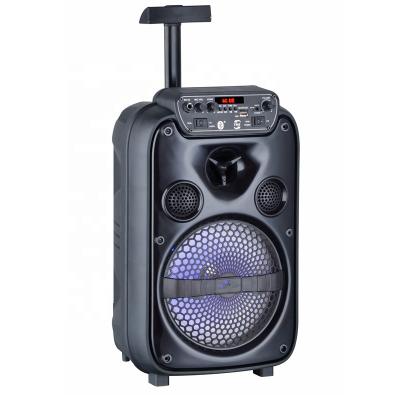 China LED Flashing Light 8 Inch Trolley Stage Active Speaker for sale