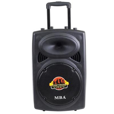 China 12Inches Trolley Wireless Rechargeable Portable Multifunctional Speaker Box Large Battery Powered Stage Speaker for sale